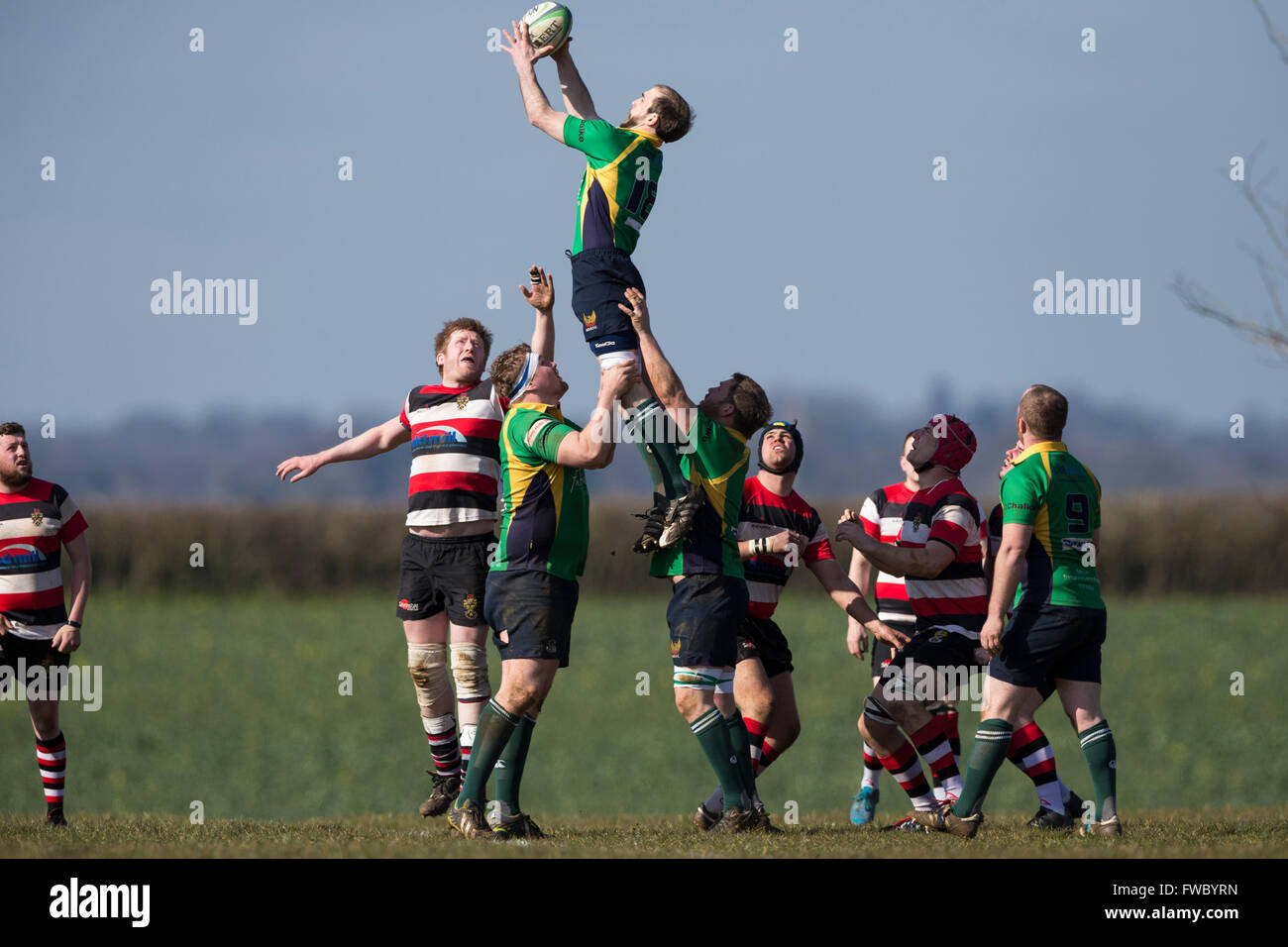 NDRFC 1st XV versus Frome RFC 1st XV,  David Marsh of NDRFC catching ball in line out. Stock Photo