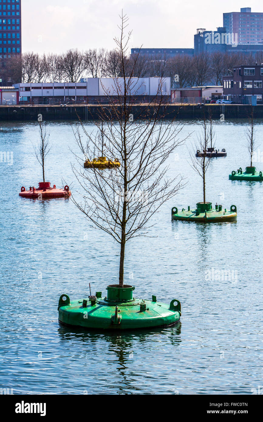 Art Action Dobberend Bos, of artists from Rotterdam, a forest of floating elm trees, in disused North Sea buoys in a harbor, Stock Photo