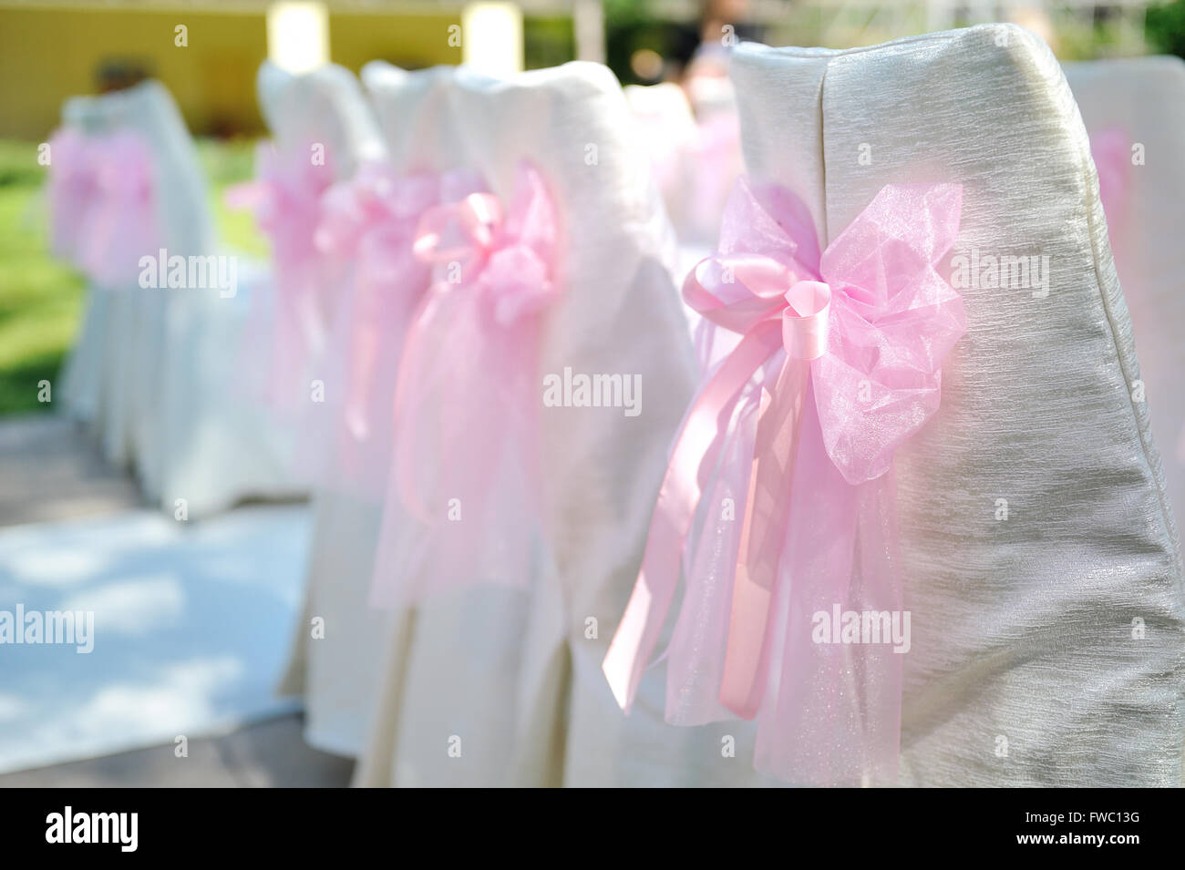 beautiful chairs with pink bows on wedding ceremony Stock Photo Alamy