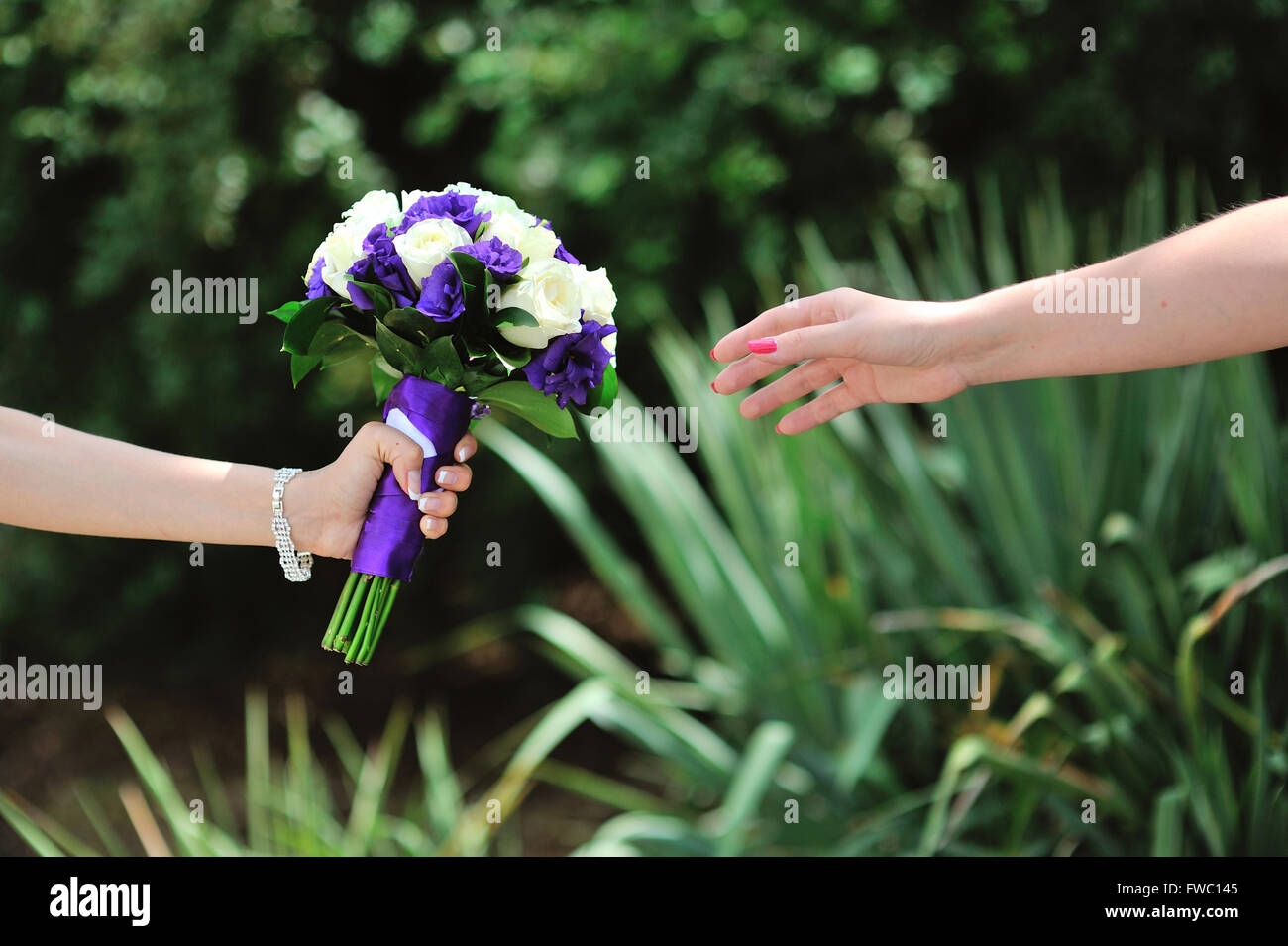 Bride hold wedding bouquet with white and lilac roses Stock Photo Alamy