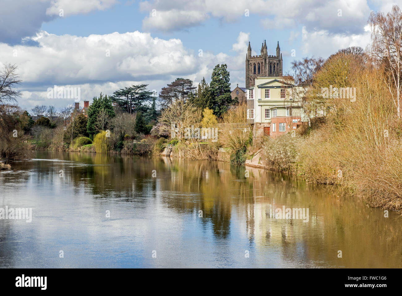 The River Wye at Hereford showing the Cathedral Tower, Herefordshire, on a sunny Spring day. Stock Photo