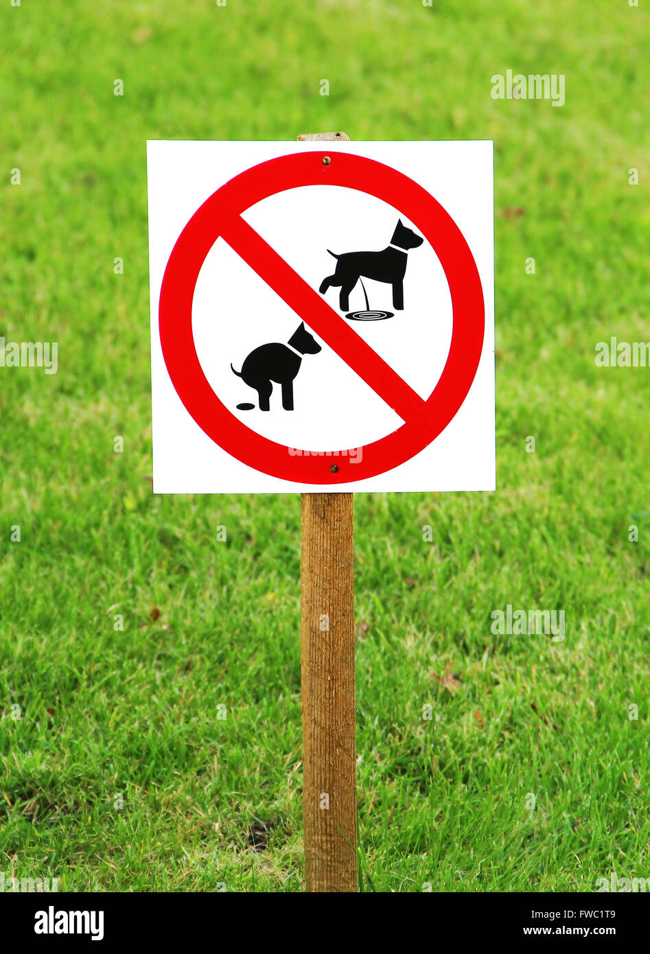 No dog pooping and pissing sign on the green grass Stock Photo