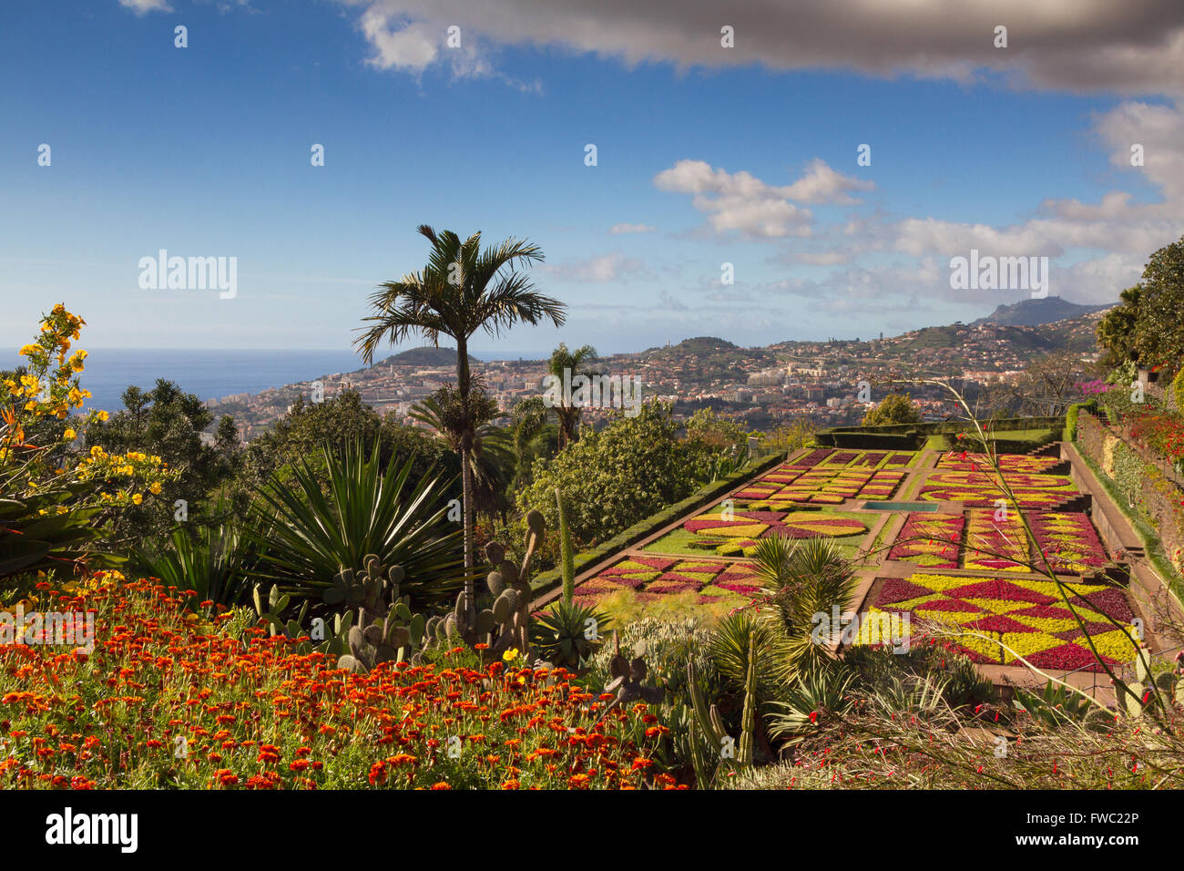 Botanical garden of Funchal, Madeira, Portugal Stock Photo Alamy