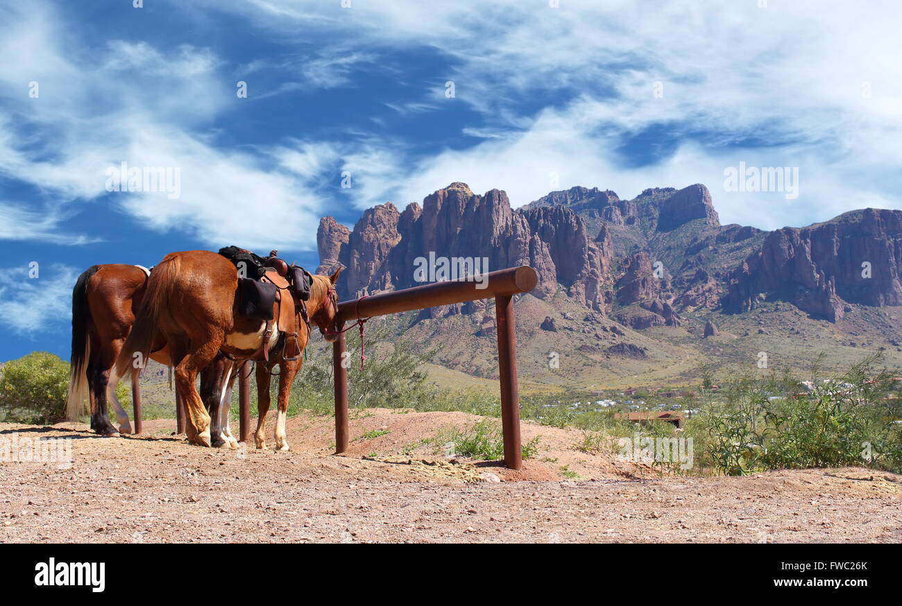 Horses tied to a post in a Wild West cowboy town. Off in the distant background desert, cactus, and large red mountain range Stock Photo