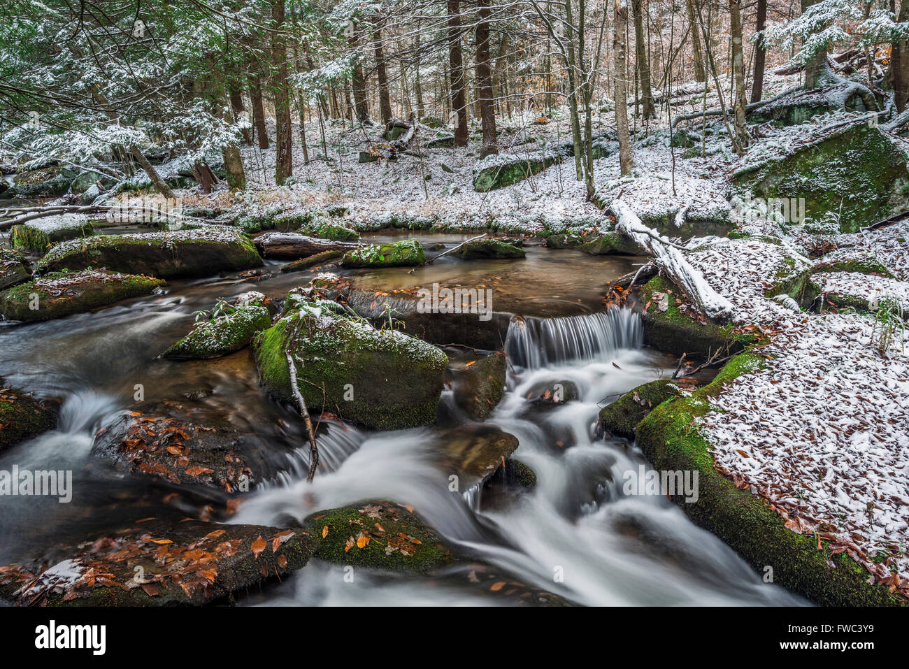 Red House Brook flows through Allegany State Park after an early winter