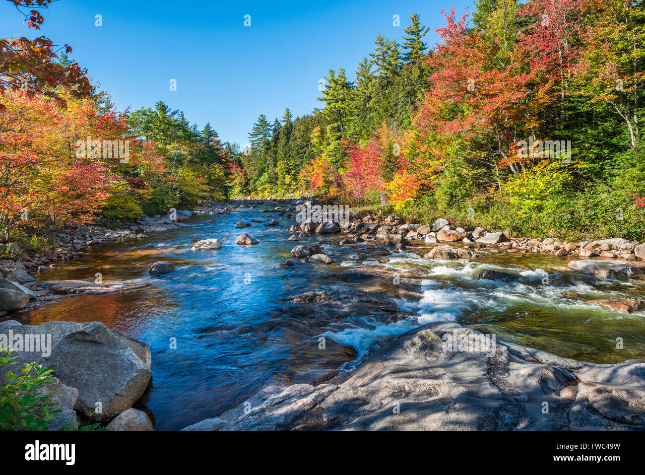Fall foliage reflects on the Swift River, White Mountain National ...