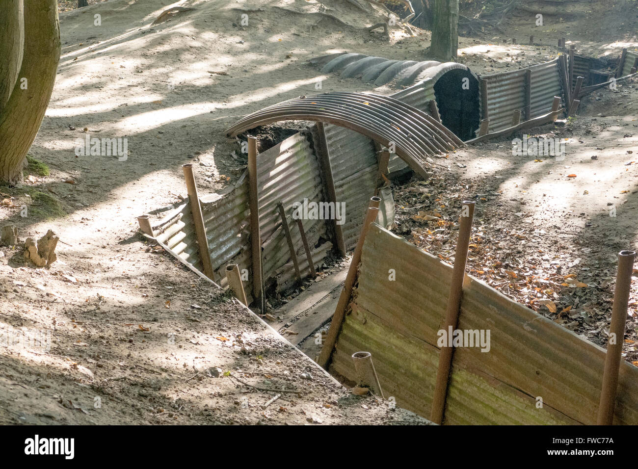 British World War 1 trenches at Hill 62 Sanctuary Wood on the Ypres Salient battlefields, Belgium. Stock Photo