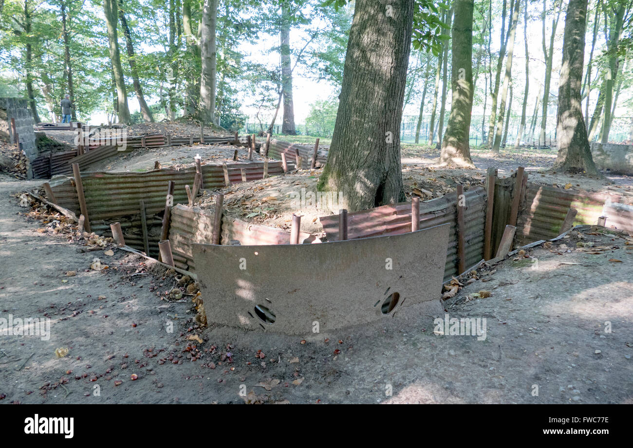 British World War 1 trenches at Hill 62 Sanctuary Wood on the Ypres Salient battlefields, Belgium. Stock Photo
