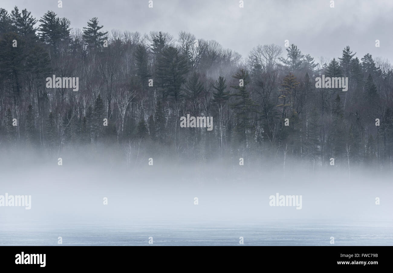 Warm air, cold layers, pale waterfront deciduous Eastern Ontario forest on an early gray day of melting Ice & spring corn snow o Stock Photo