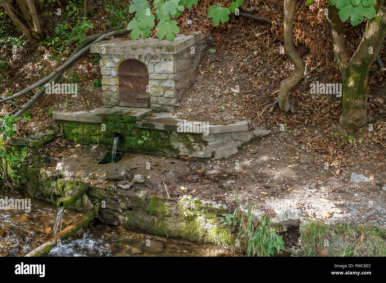 A natural karst spring in the Bukk Mountains in Hungary Stock Photo