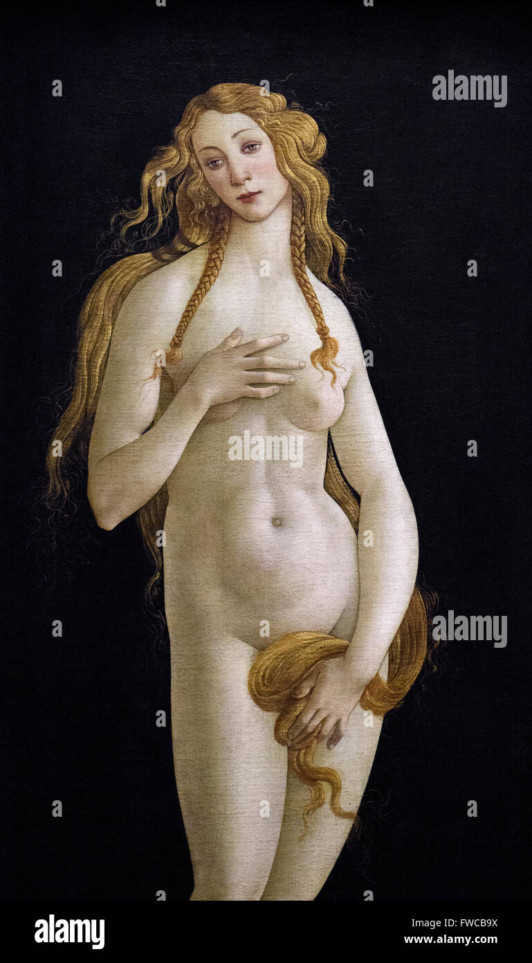 Sandro Botticelli (1445-1510), Venus - detail - (ca. 1490). Stock Photo