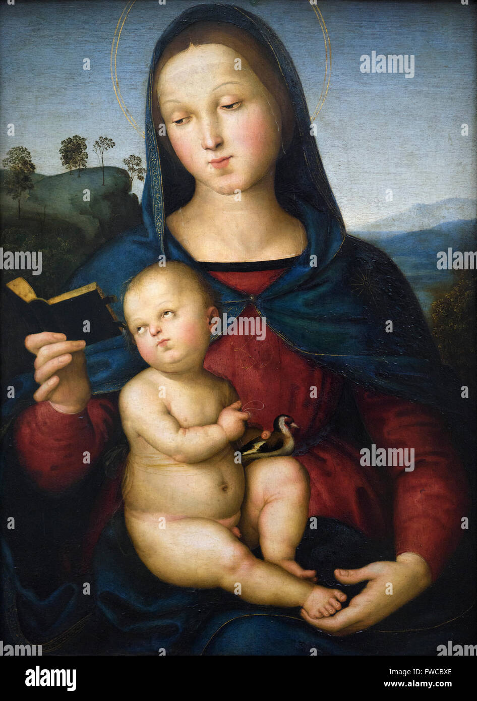 Raphael - Raffaello Sanzio (1483-1520),  Maria and the Child (Solly Madonna) 1502. Stock Photo