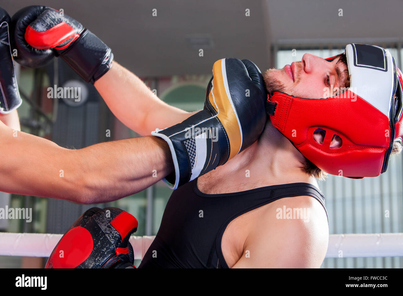 Two men boxer wearing helmet boxing Stock Photo Alamy
