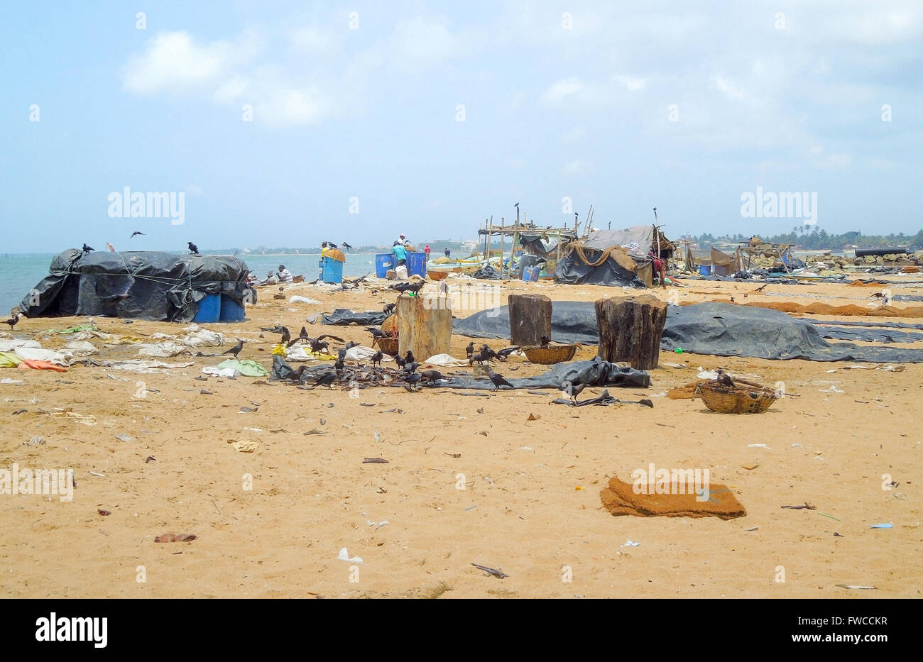 detail of a fish market at the beach with lots of fishes, remains and ...