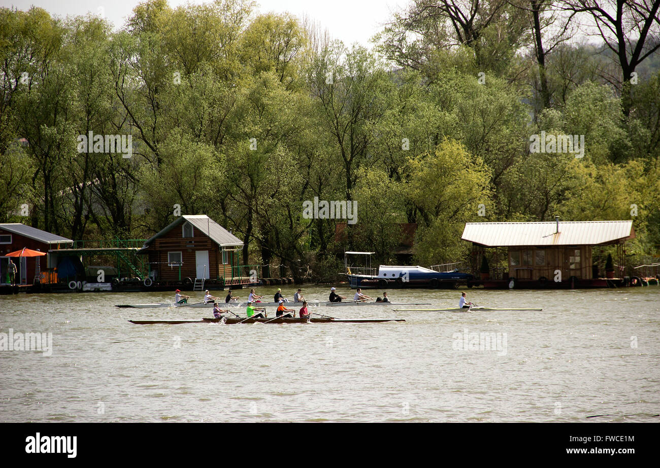 Belgrade, Serbia - Novice members of Rowing Club “Partizan” training at Sava river Stock Photo
