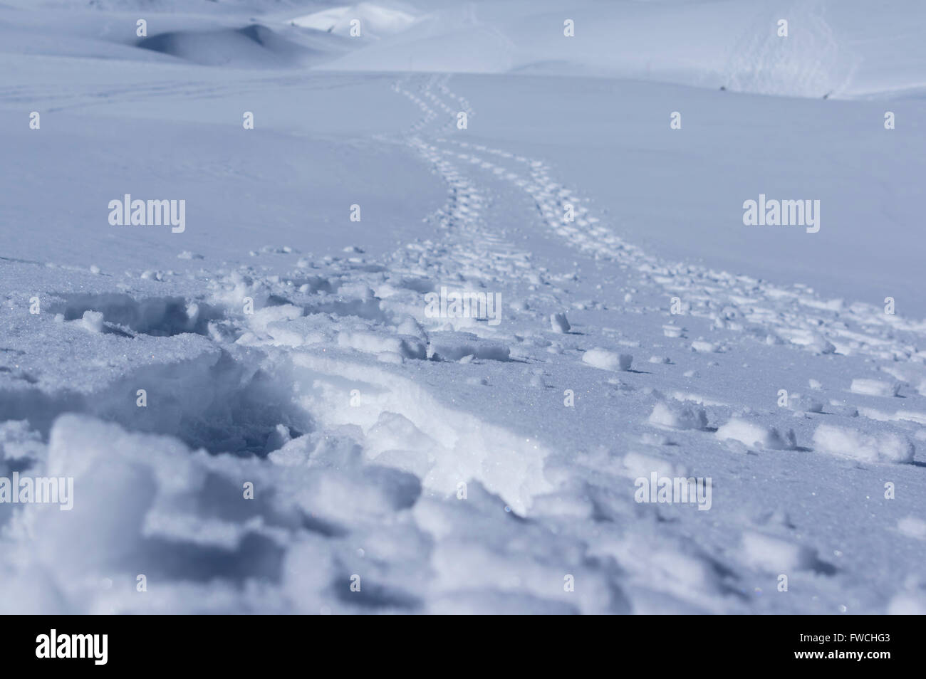 Footprint tracks in deep snow, vanishing in the far distance. Stock Photo