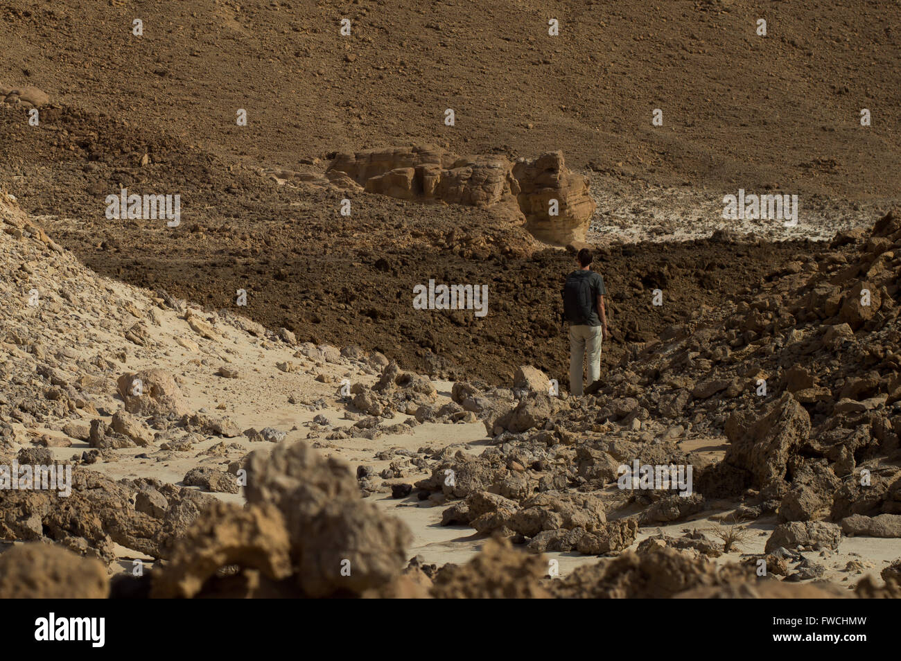 Wilderness textures hi-res stock photography and images - Alamy