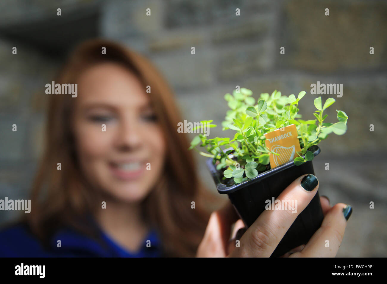 Paul Fitzsimons High Resolution Stock Photography and Images - Alamy