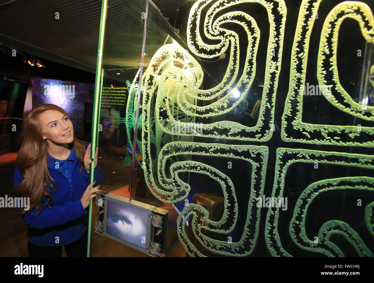 16/03/2016. Downpatrick, Northern Ireland, UK. Karen Fitzsimons of the Saint Patrick's Visitors Centre poses with some Irish Shamrock, which is fast becoming sort in supply in the County Down town. Millions of people around the world will mark Saint Patrick's Day on 17 March, which is said to be the date of his death. It is celebrated inside and outside Ireland as a religious and cultural holiday. It is claimed that Patrick was brought here after his death and buried in the grounds of Down Cathedral. Photo credit : Paul McErlane 16/03/2016. Downpatrick, Northern Ireland, UK. Karen Fitzsimons f Stock Photo