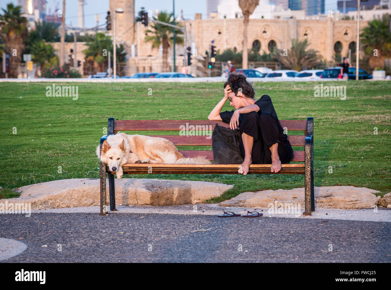 Woman with dog on a bench in Charles Clore Park, Tel Aviv city, Israel