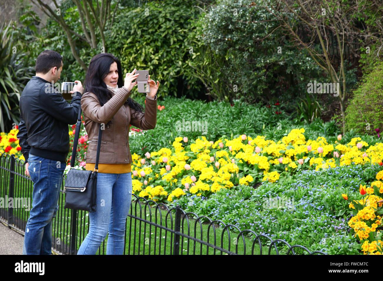 St James Park, London 3 April 2016 Couple tourists takes a photograph of the flowers on a warm afternoon in St James Park, London. Credit:  Dinendra Haria/Alamy Live News Stock Photo