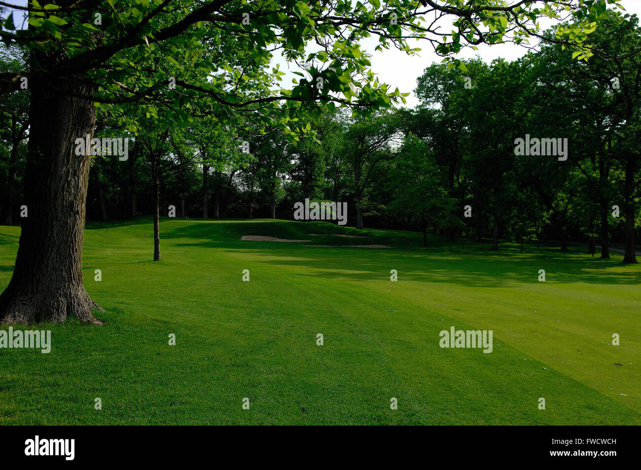 Glen Ellyn, Illinois, USA. 15th May, 2007. The eighth hole at Glen Oak
