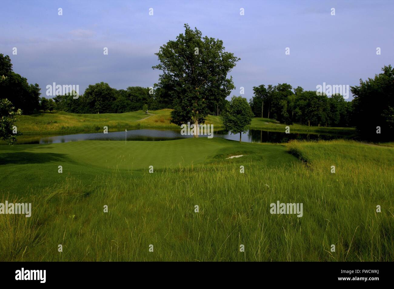 Wolf run golf club hi-res stock photography and images - Alamy