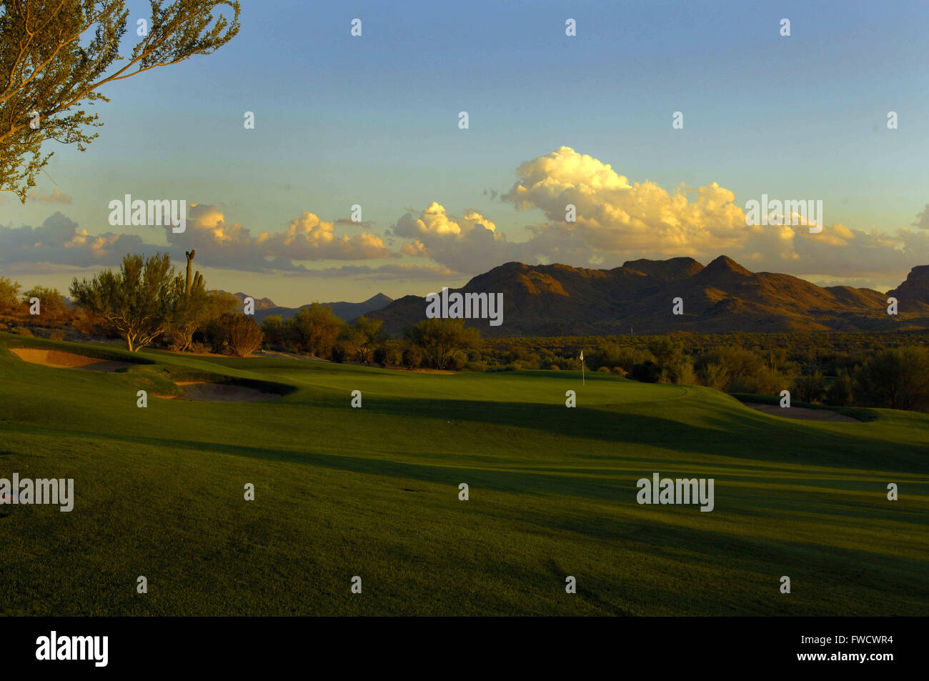 Tempe, arizona golf hires stock photography and images Alamy
