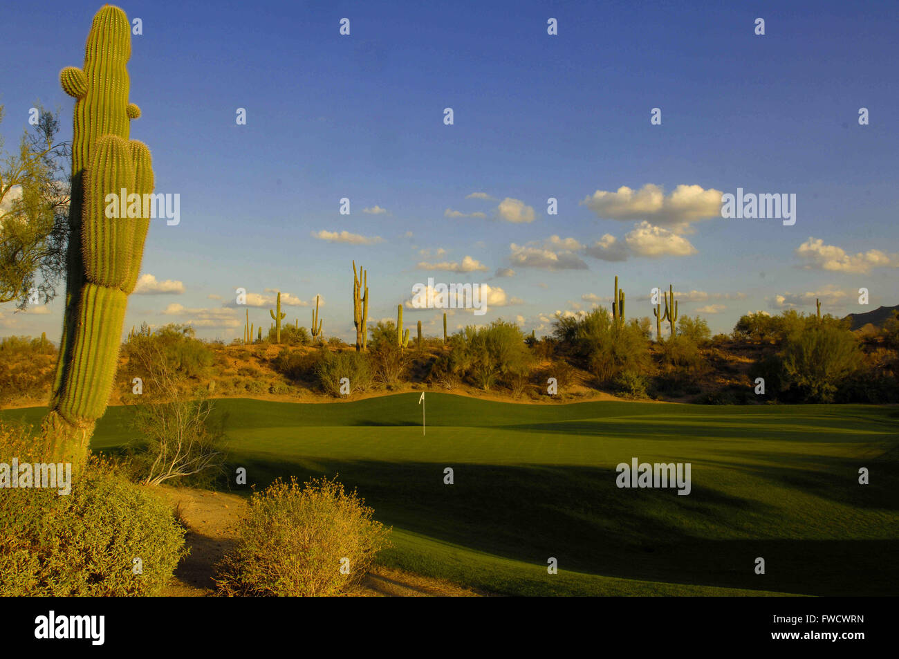 Tempe, arizona golf hires stock photography and images Alamy