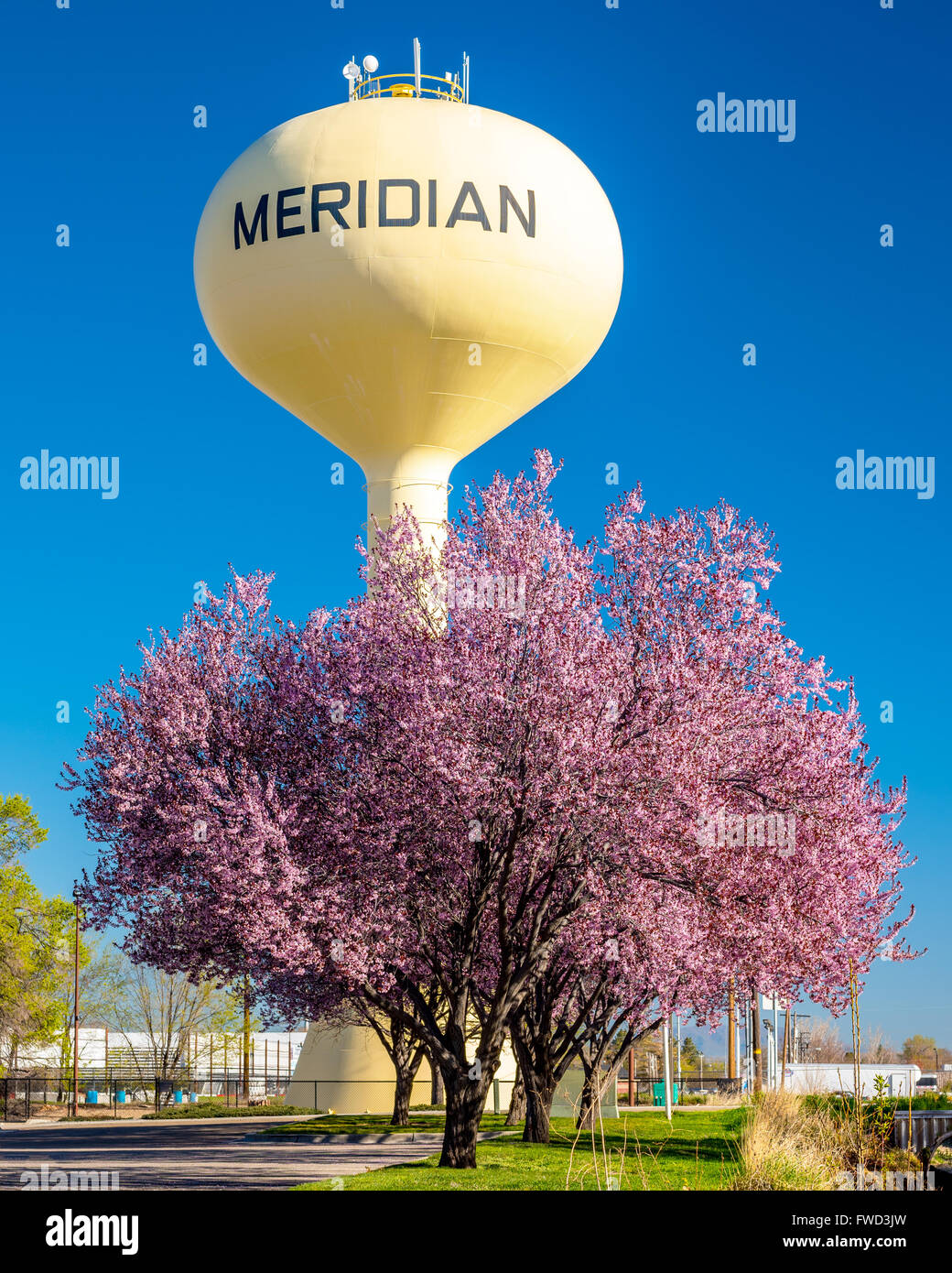 Spring flowering trees and water town in Meridian Stock Photo
