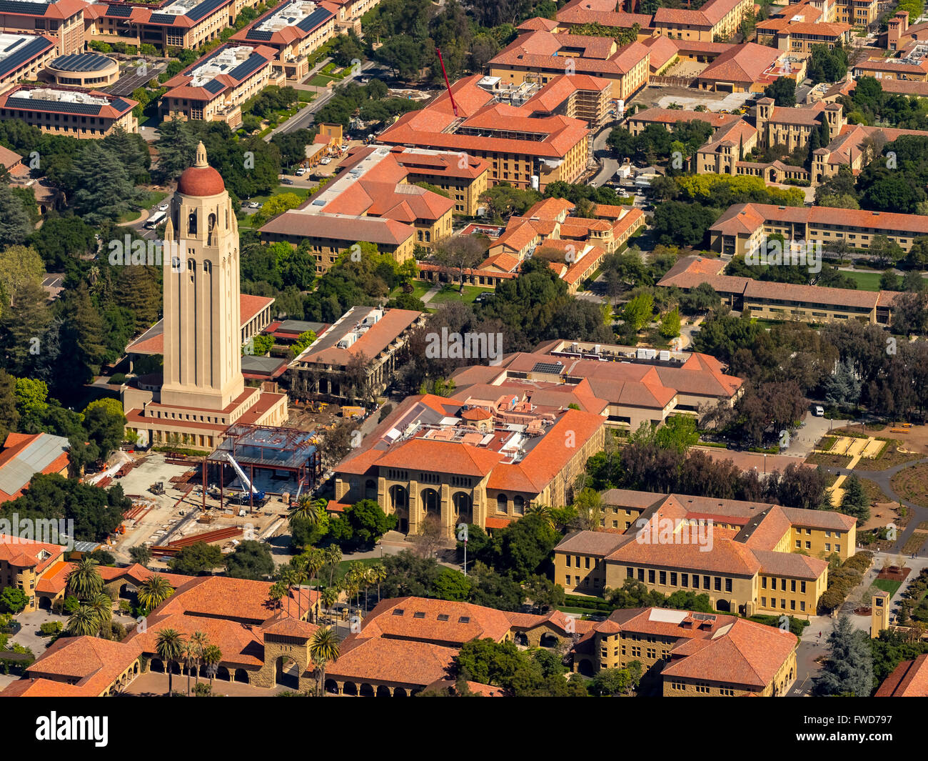Stanford University campus Palo Alto California, Hoover Tower, campus, Silicon Valley, California, USA, aerial view, Stock Photo