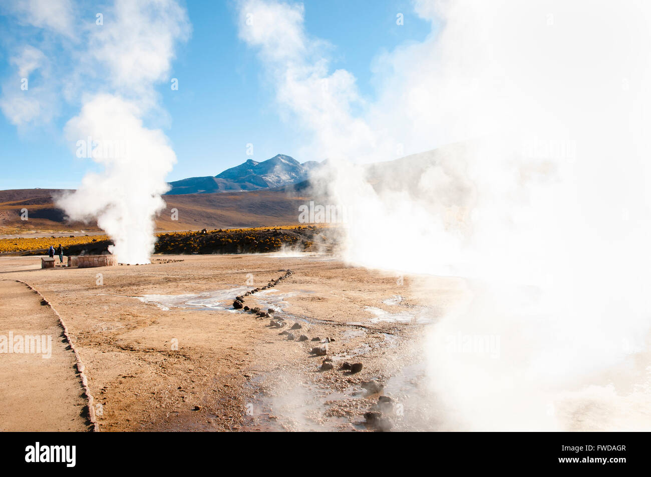 El Tatio Geyser Field - Chile Stock Photo