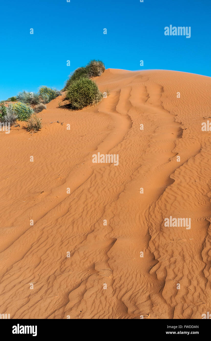 Big Red, The Simpson Desert, Birdsville, Queensland, Australia Stock Photo