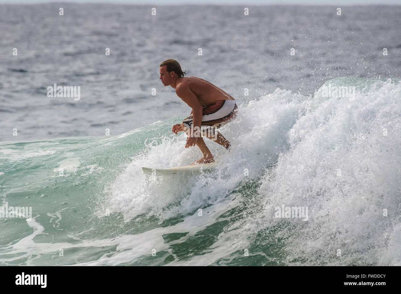 Gold Coast Australia surfing surfers paradise Stock Photo Alamy