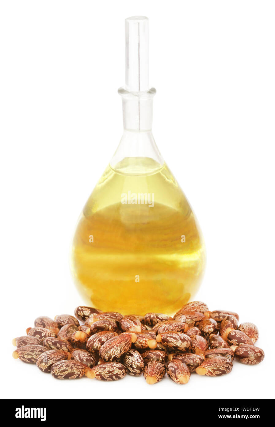 Castor oil beans hires stock photography and images Alamy