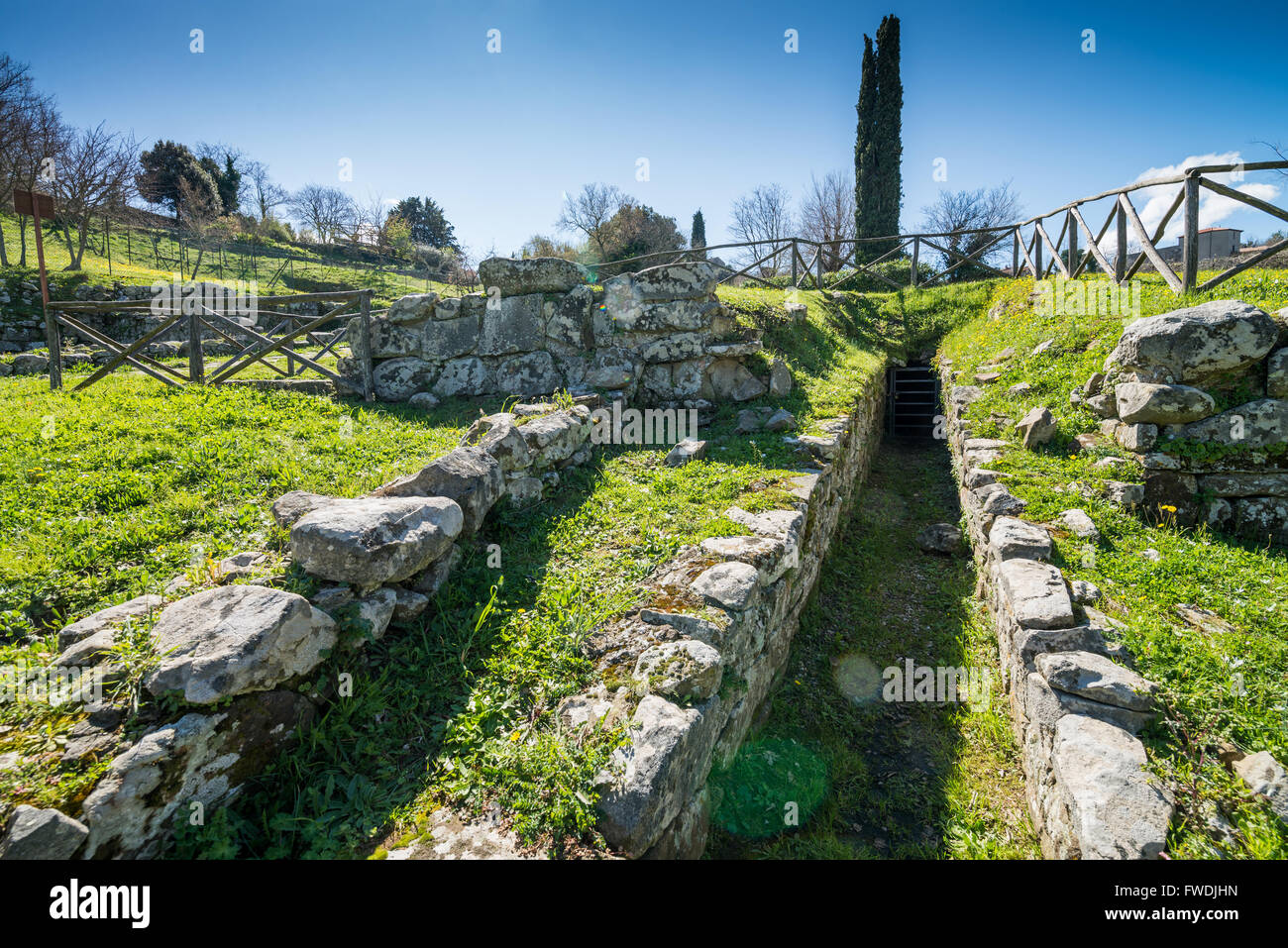 Vetulonia hires stock photography and images Alamy