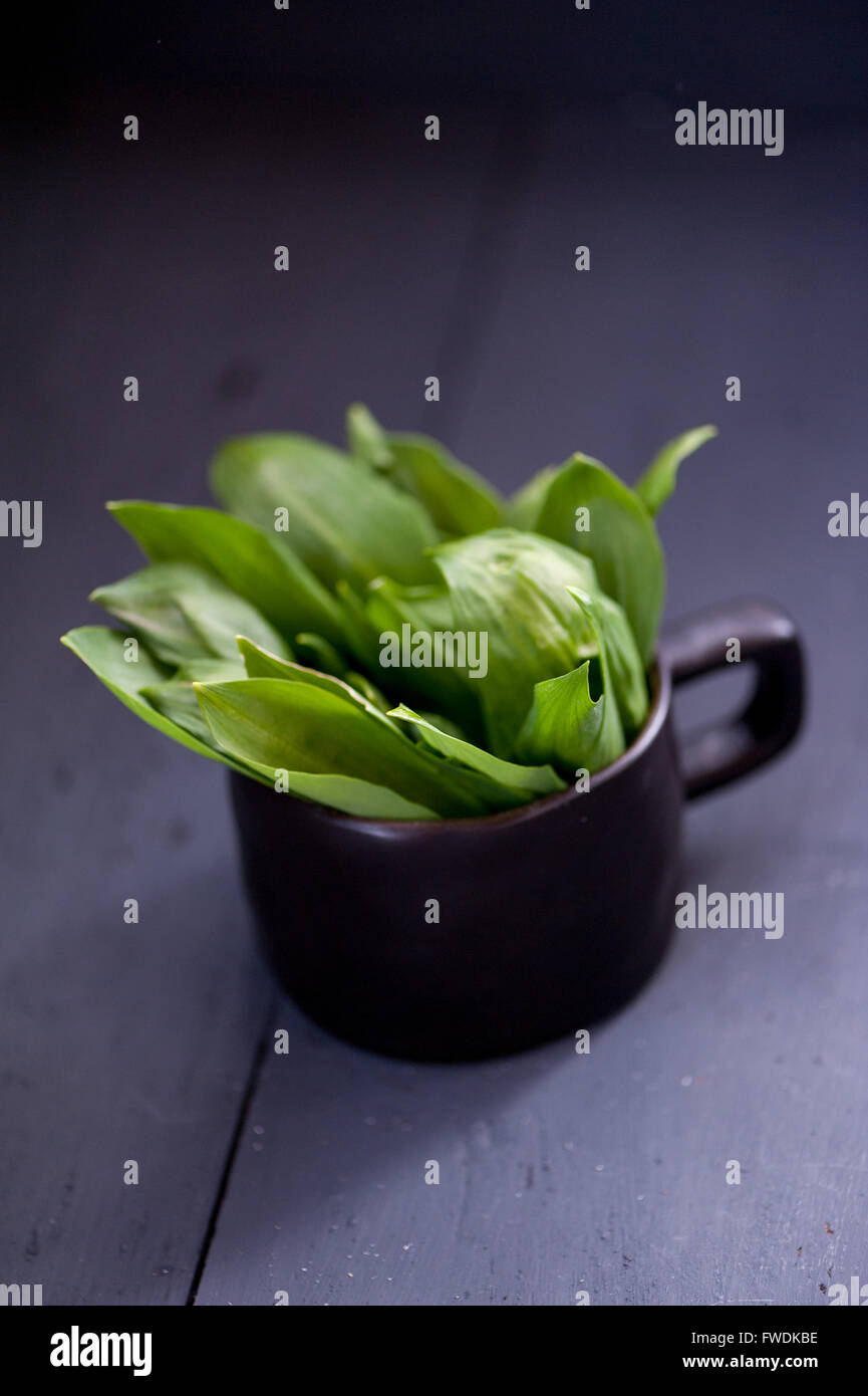 Wild green garlic leaves Stock Photo Alamy