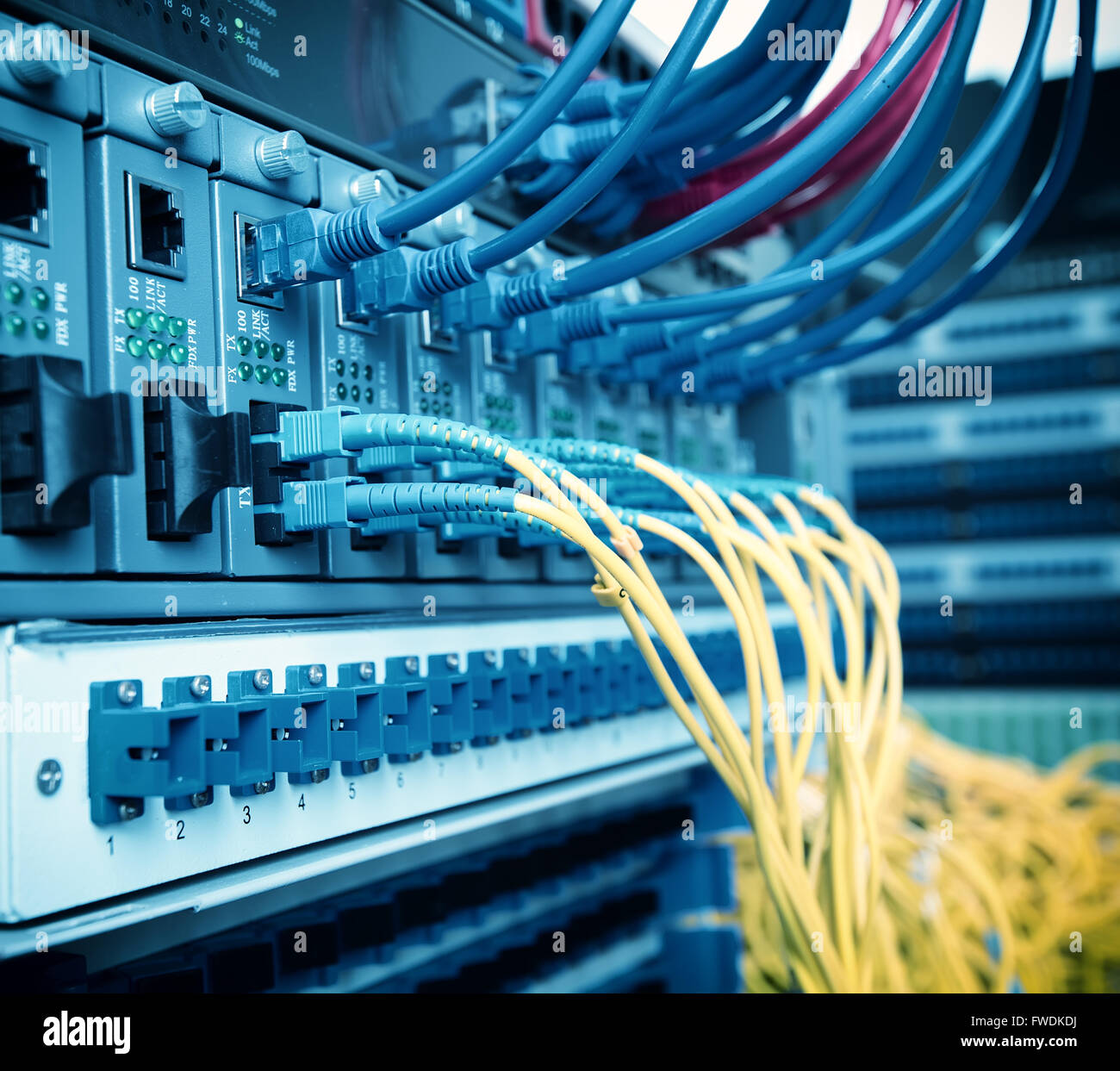 Fiber Optic Cables Connected To An Optic Ports Stock Photo - Alamy