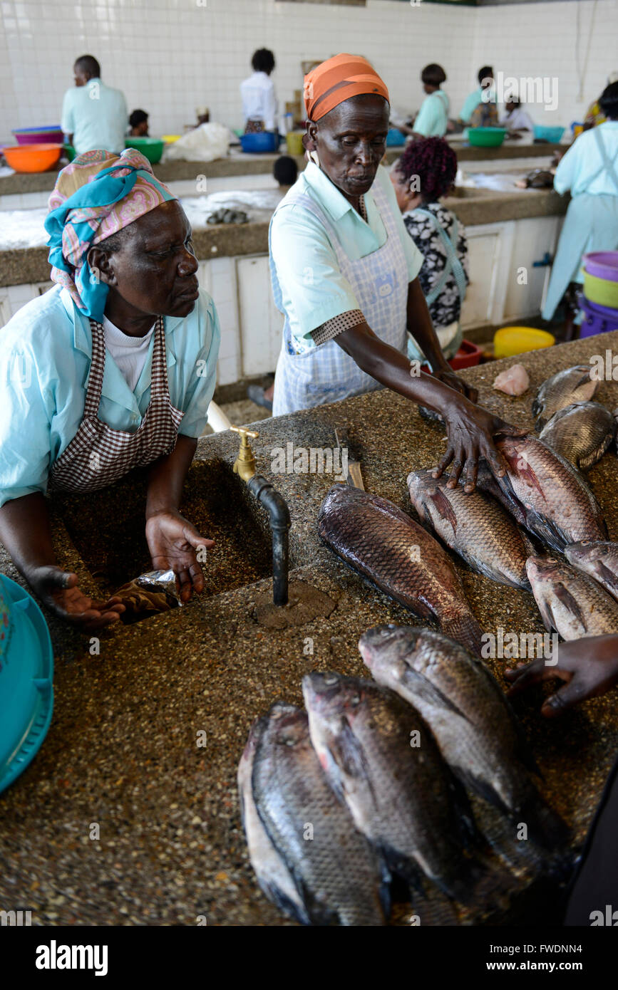 KENYA Kisumu, women at fish market selling catch of the day, the fish is from Lake Victoria like the Nile perch Stock Photo