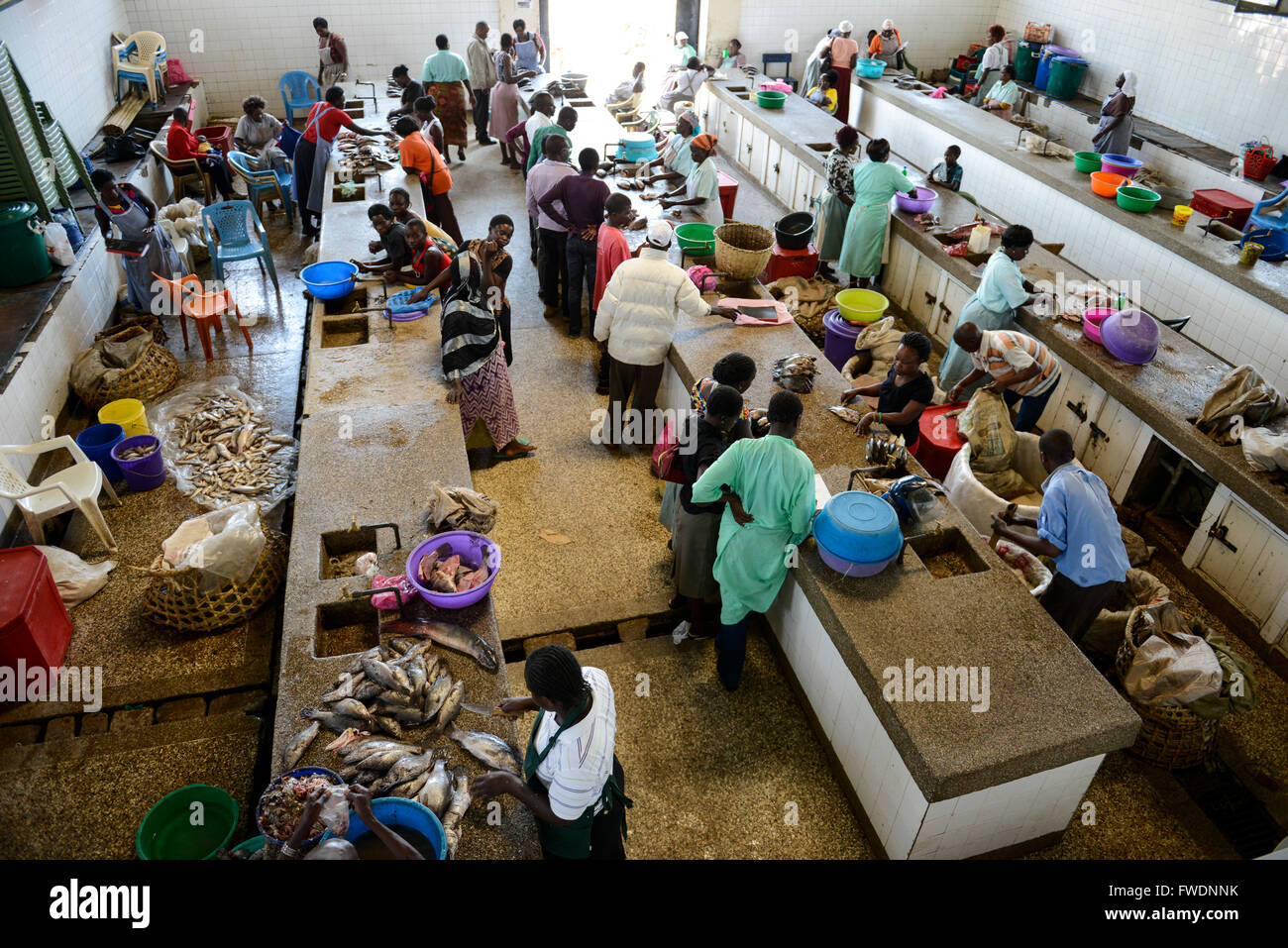KENYA Kisumu, women at fish market selling catch of the day, the fish is from Lake Victoria like the Nile perch Stock Photo