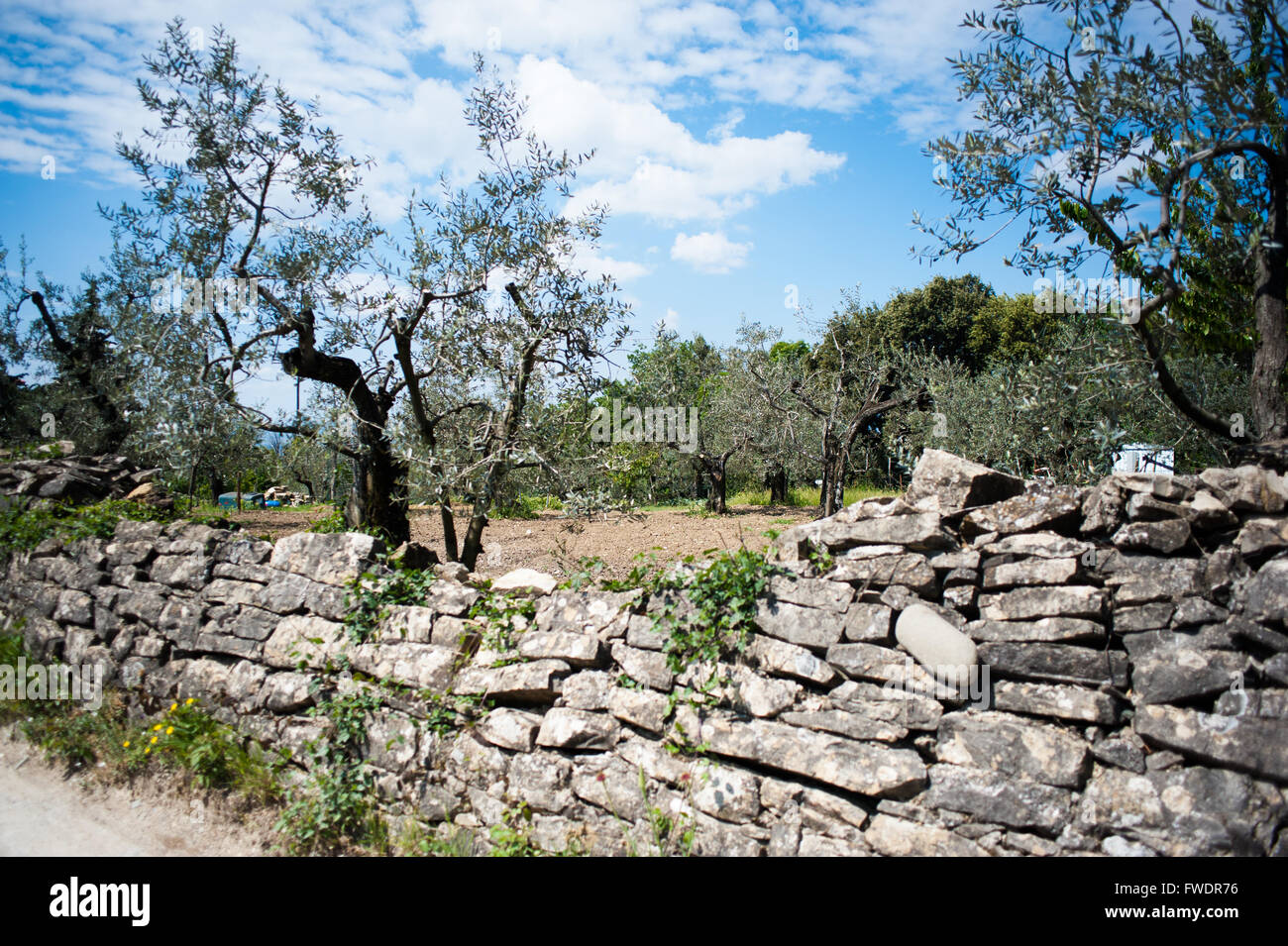 Medieval stones in Tuscany represented for years the impassable limit and the strongest boundary built by humans. Stock Photo