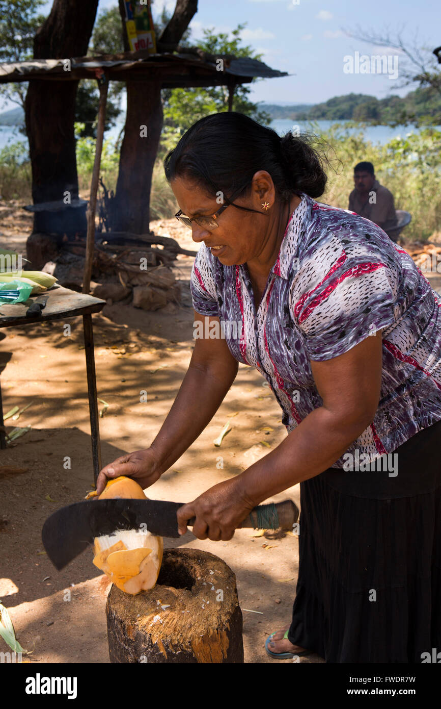 Sri Lanka, Dambulla, woman opening thambili King Coconut to drink at roadside stall Stock Photo