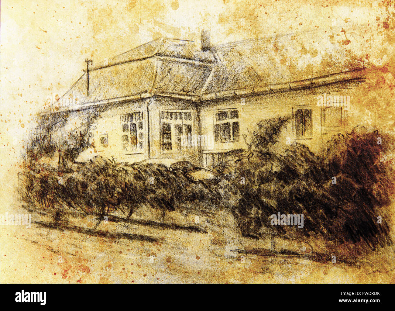 Pencil Drawning Of A House With Wine Garten In The Front Color