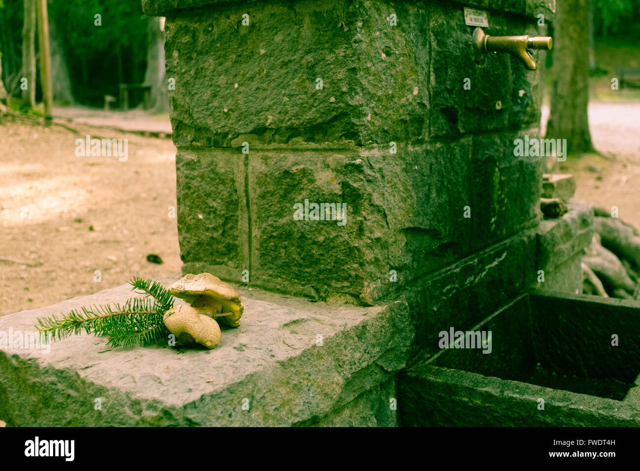 High mountain pure water fountain. Tuscany Italy Stock Photo