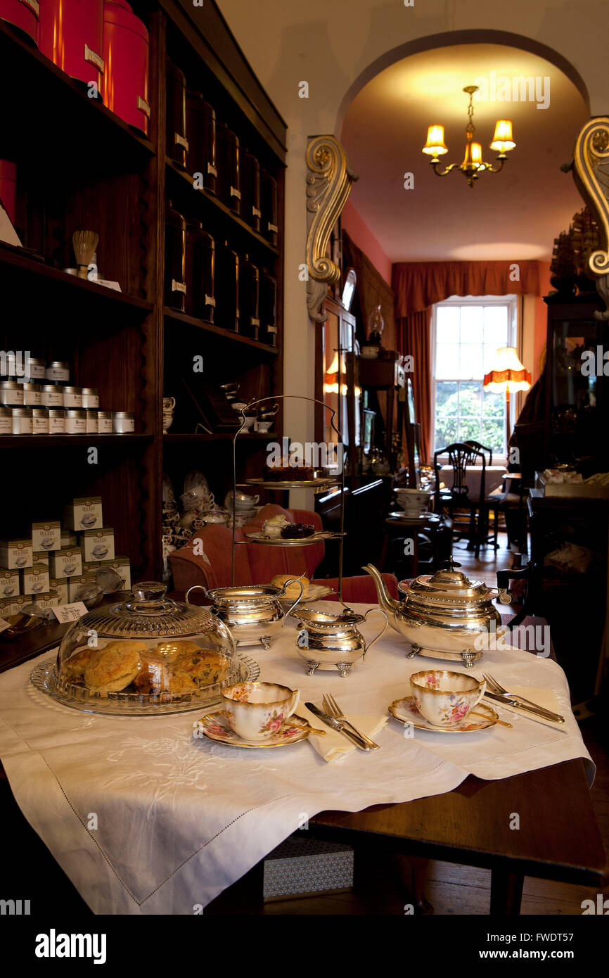 Anteaques tearoom & antiques shop on Clerk Street,Edinburgh Stock Photo