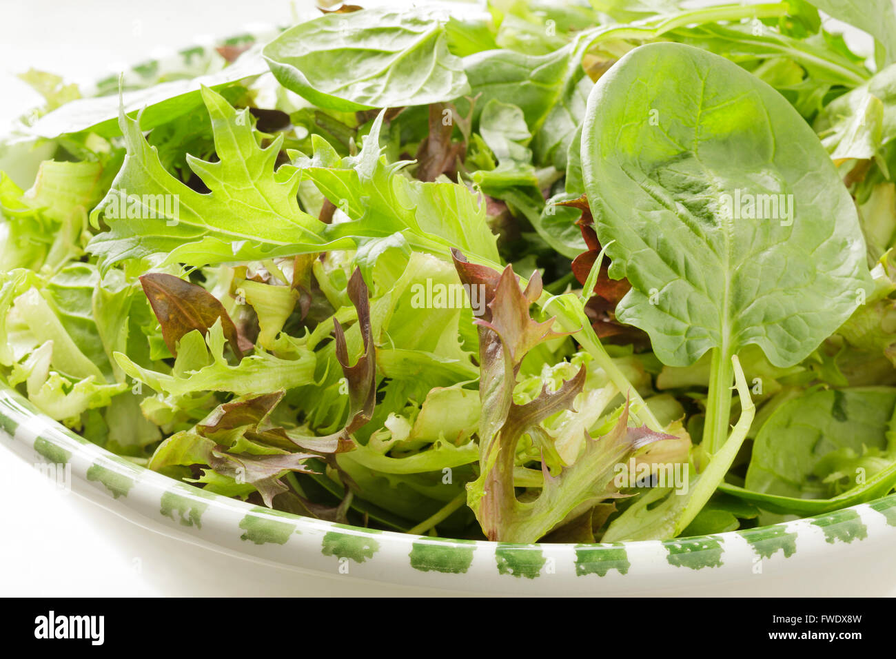 mixed lettuce leaves in a bowl Stock Photo