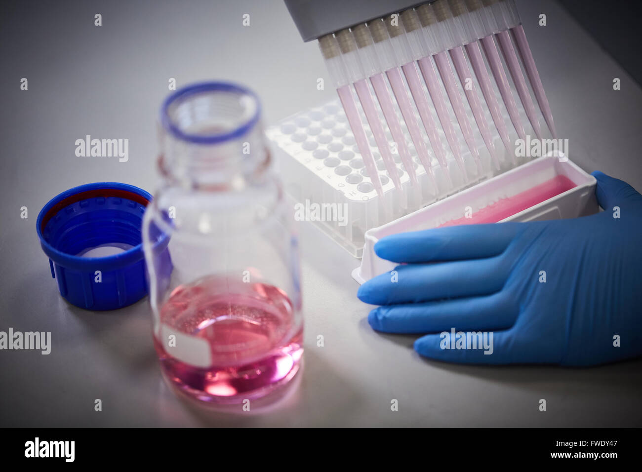 Multi headed pipette and well plate Multichannel Pipettors blood