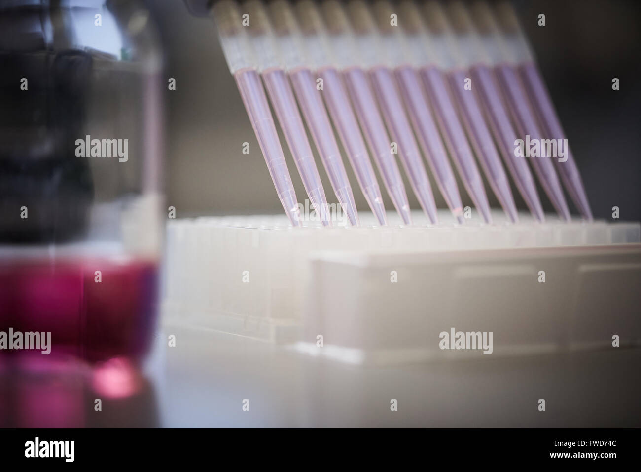 Multi headed pipette and well plate Multichannel Pipettors blood