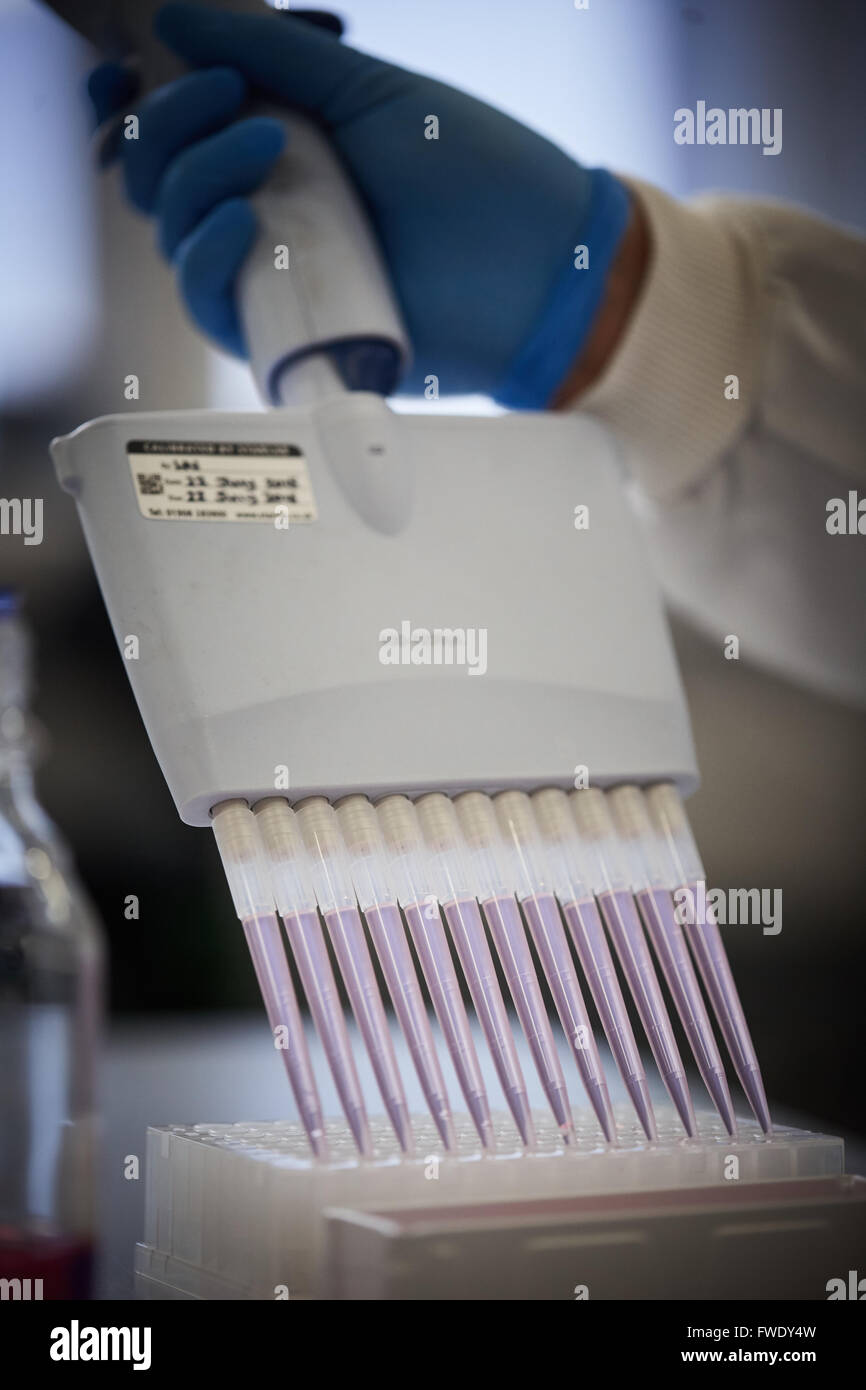 Multi headed pipette and well plate Multichannel Pipettors blood