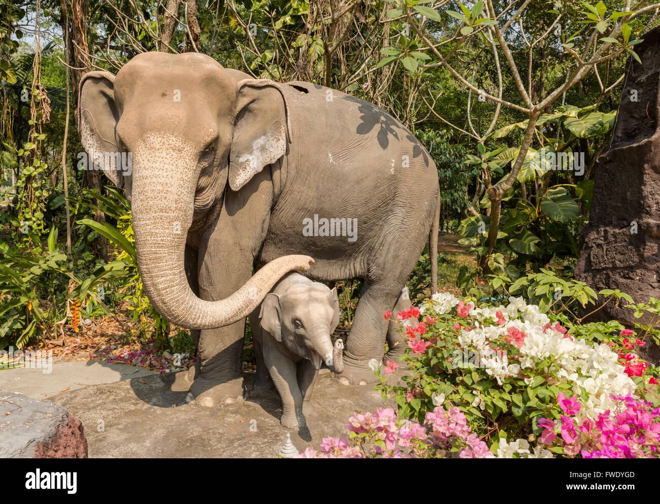 Elephant and baby elephant Stock Photo